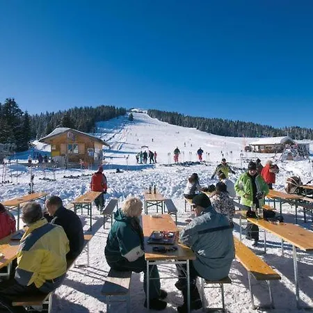 In Near Slopes Hochkrimml